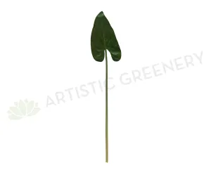 LEA0084 Calla Lily / Elephant Ear Single Leaf 80cm dried green plant  