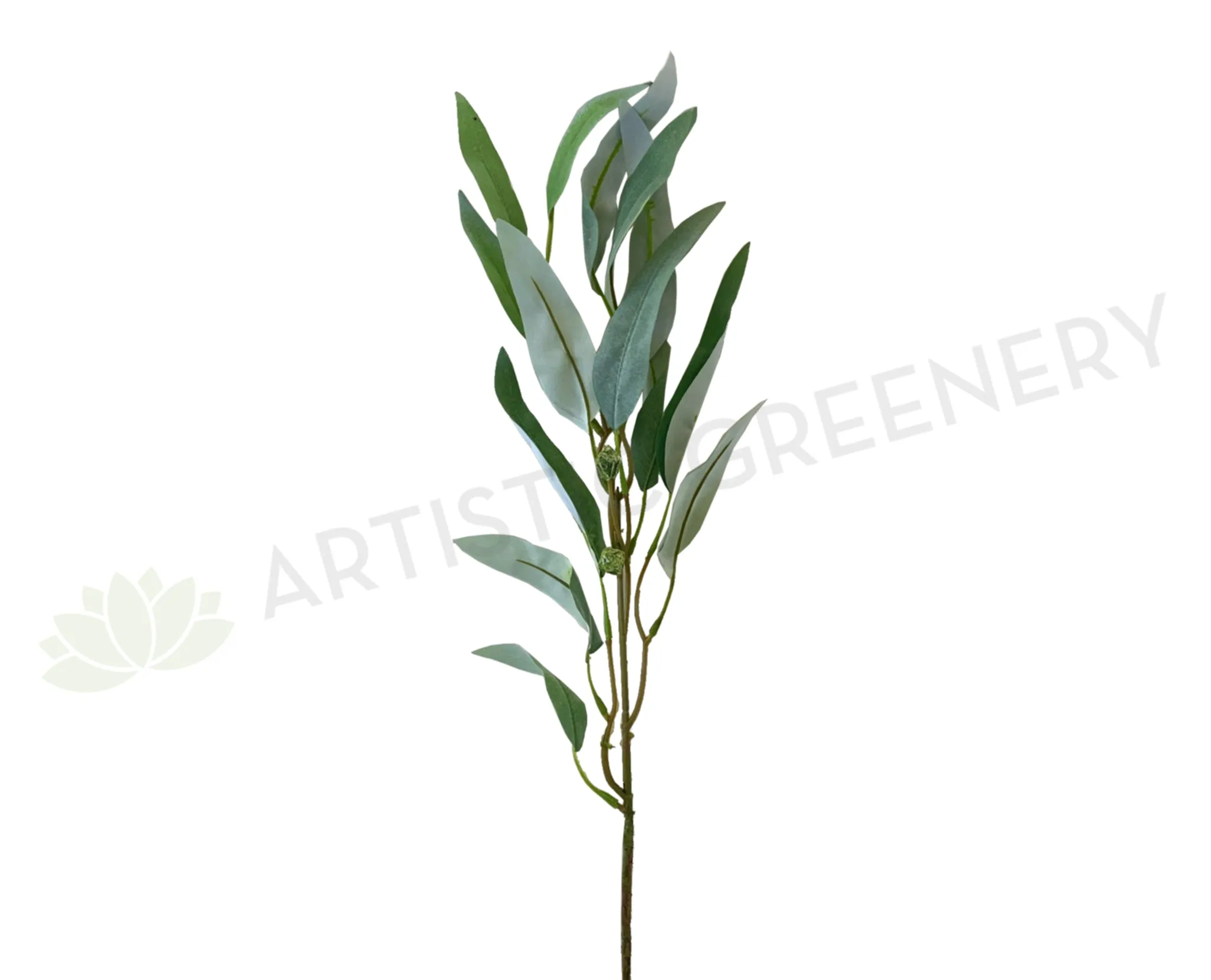 LEA0088 Gum Blossom / Eucalyptus Foliage 73cm Grey dried green plant  
