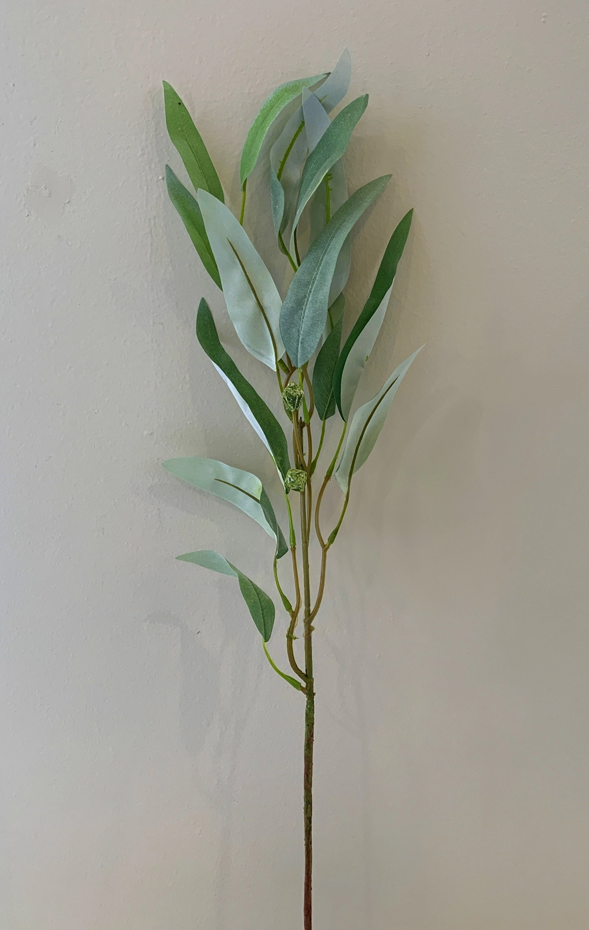 LEA0088 Gum Blossom / Eucalyptus Foliage 73cm Grey