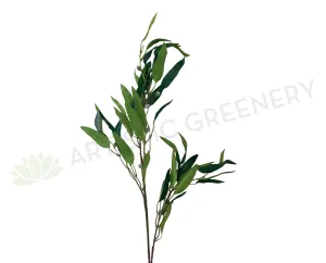 LEA0089 Green Gum Blossom / Eucalyptus 2 Sizes dried green plant  