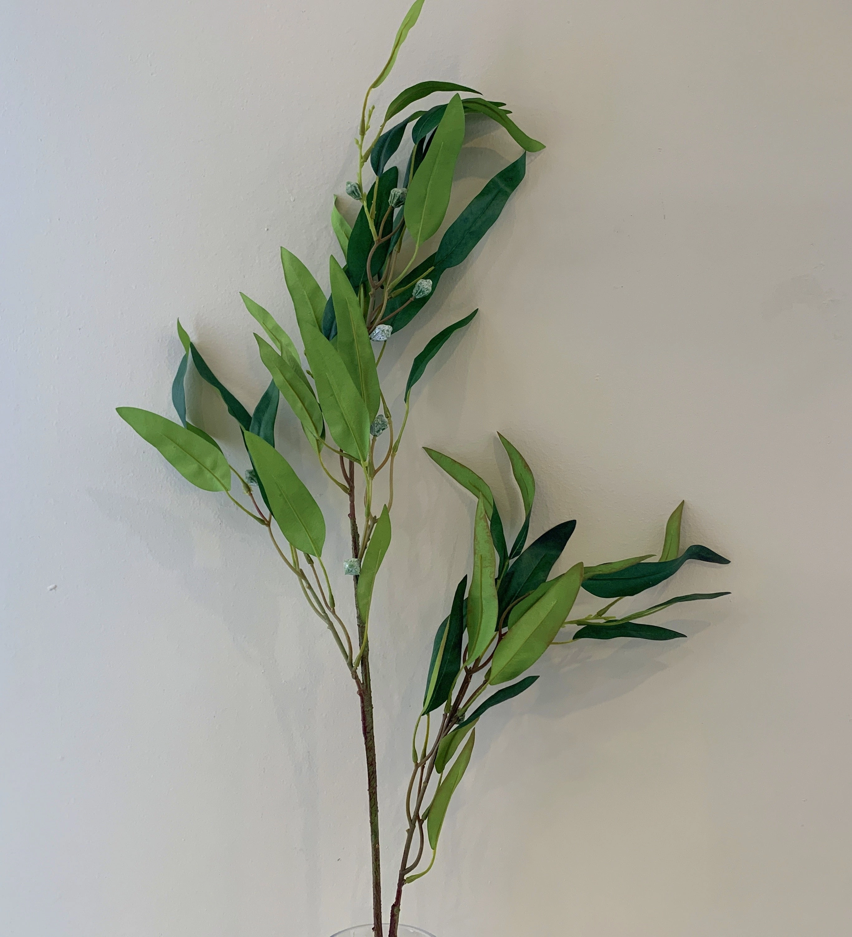 LEA0089 Green Gum Blossom / Eucalyptus 2 Sizes