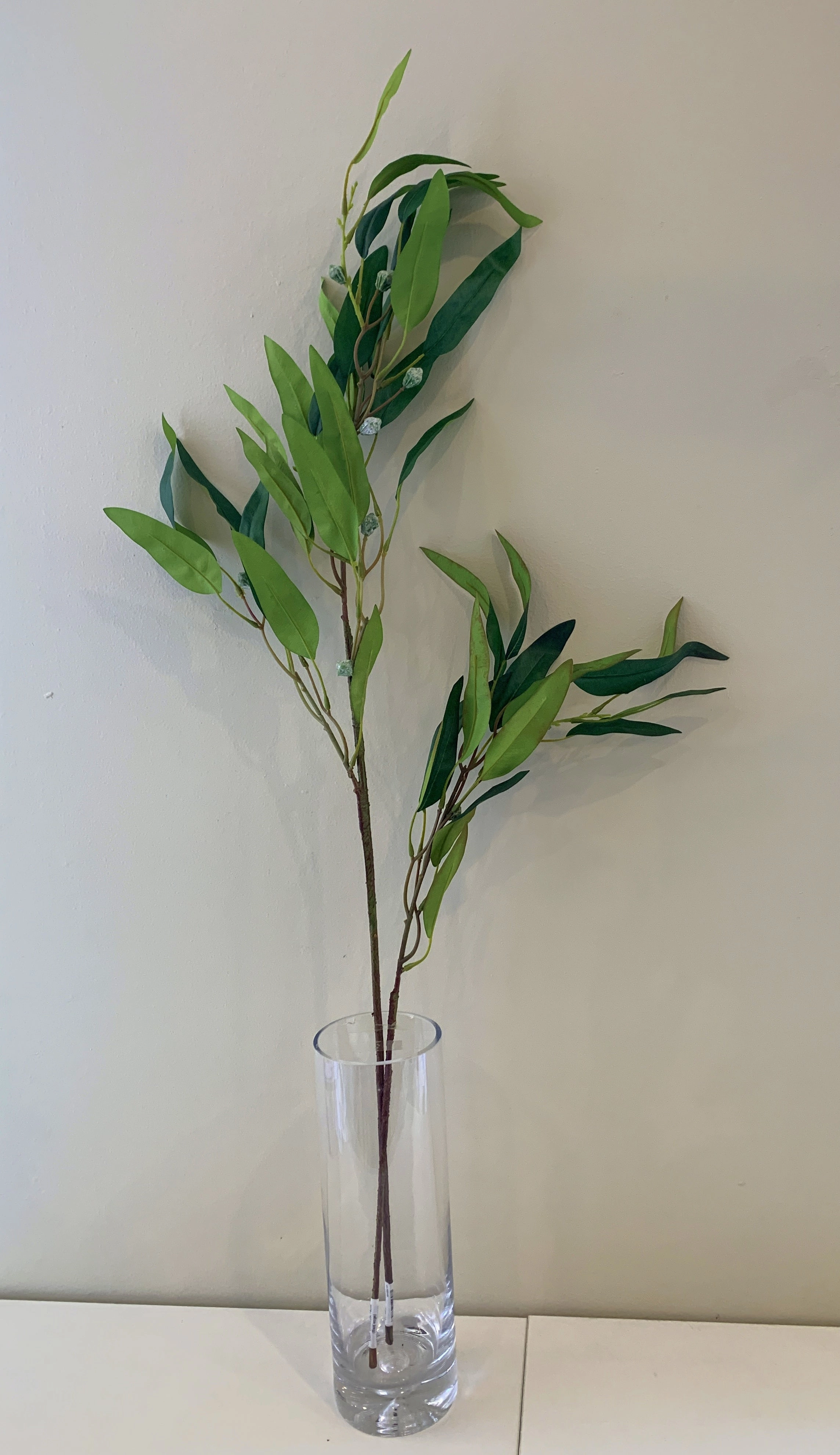 LEA0089 Green Gum Blossom / Eucalyptus 2 Sizes