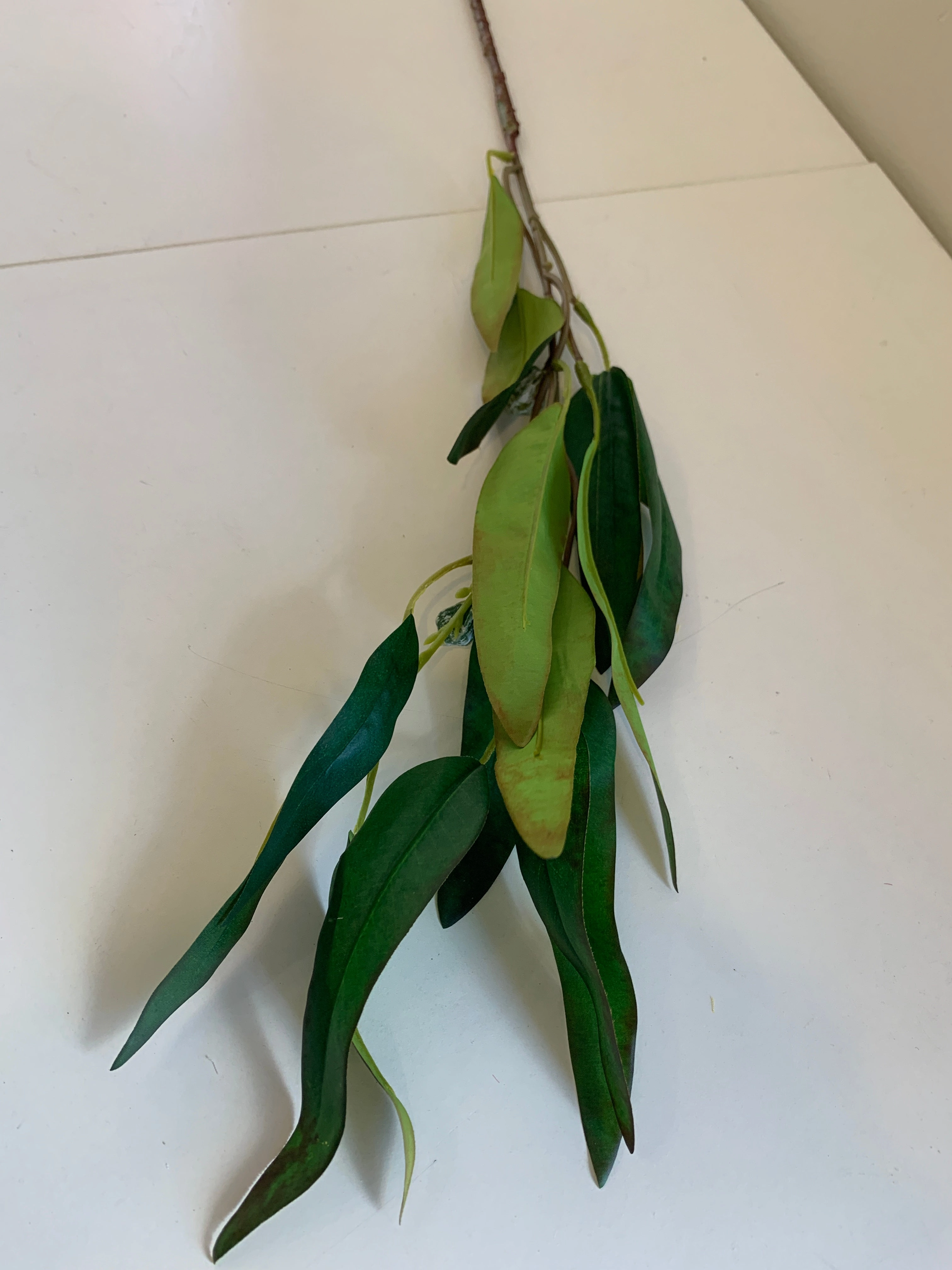 LEA0089 Green Gum Blossom / Eucalyptus 2 Sizes