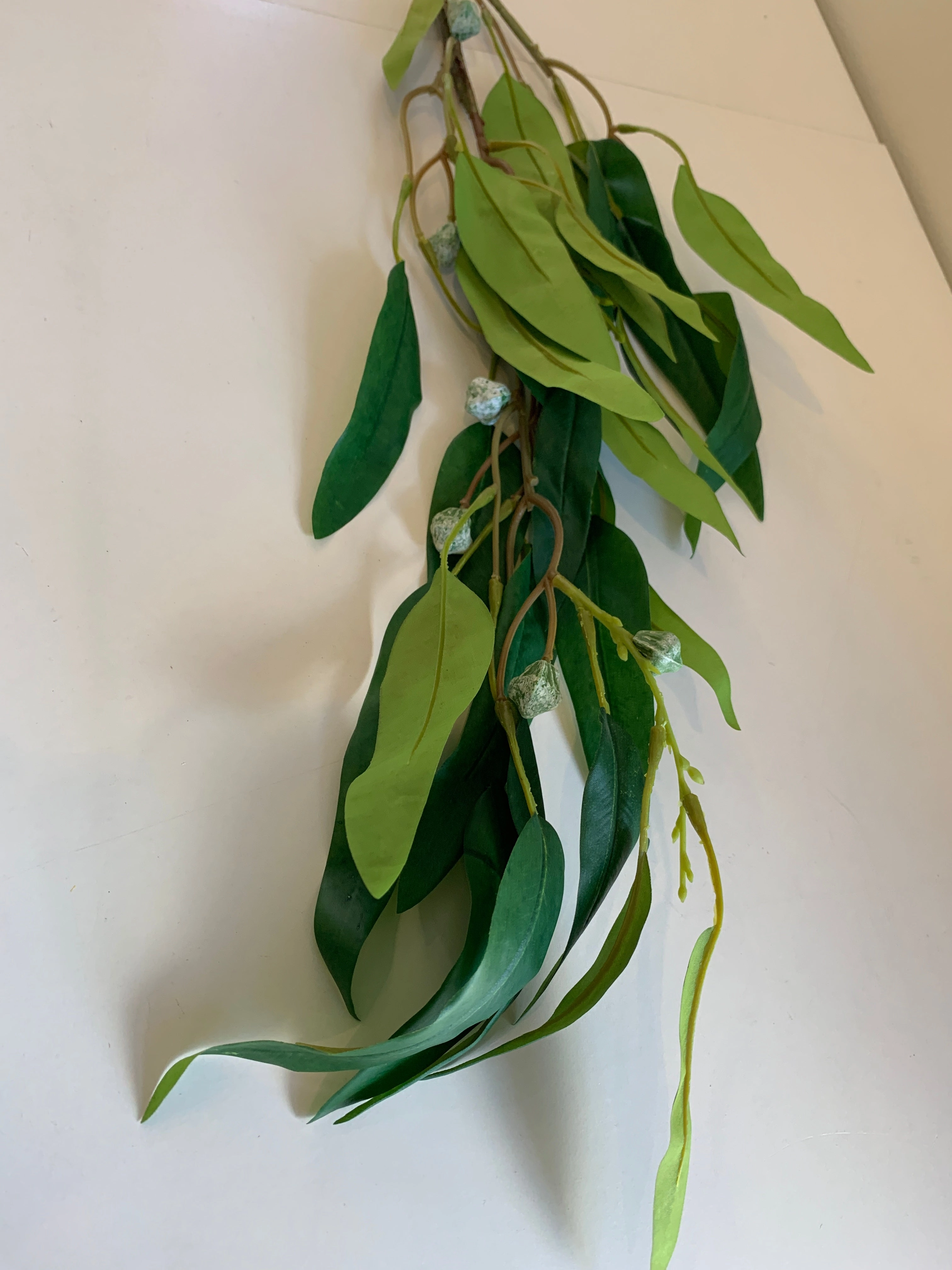 LEA0089 Green Gum Blossom / Eucalyptus 2 Sizes