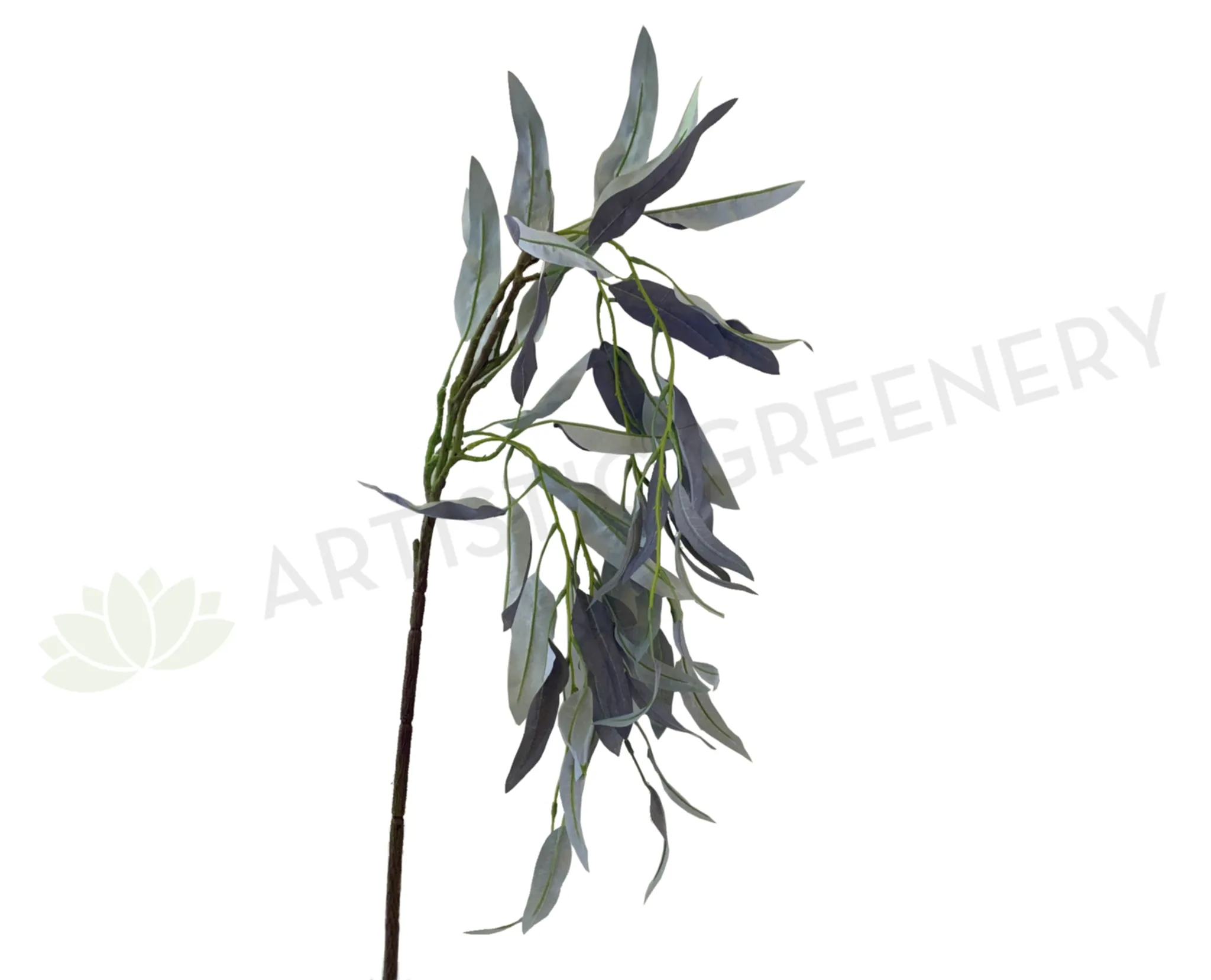 LEA0090 Weeping Gum Blossom 121cm Grey dried green plant  