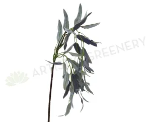 LEA0090 Weeping Gum Blossom 121cm Grey dried green plant  