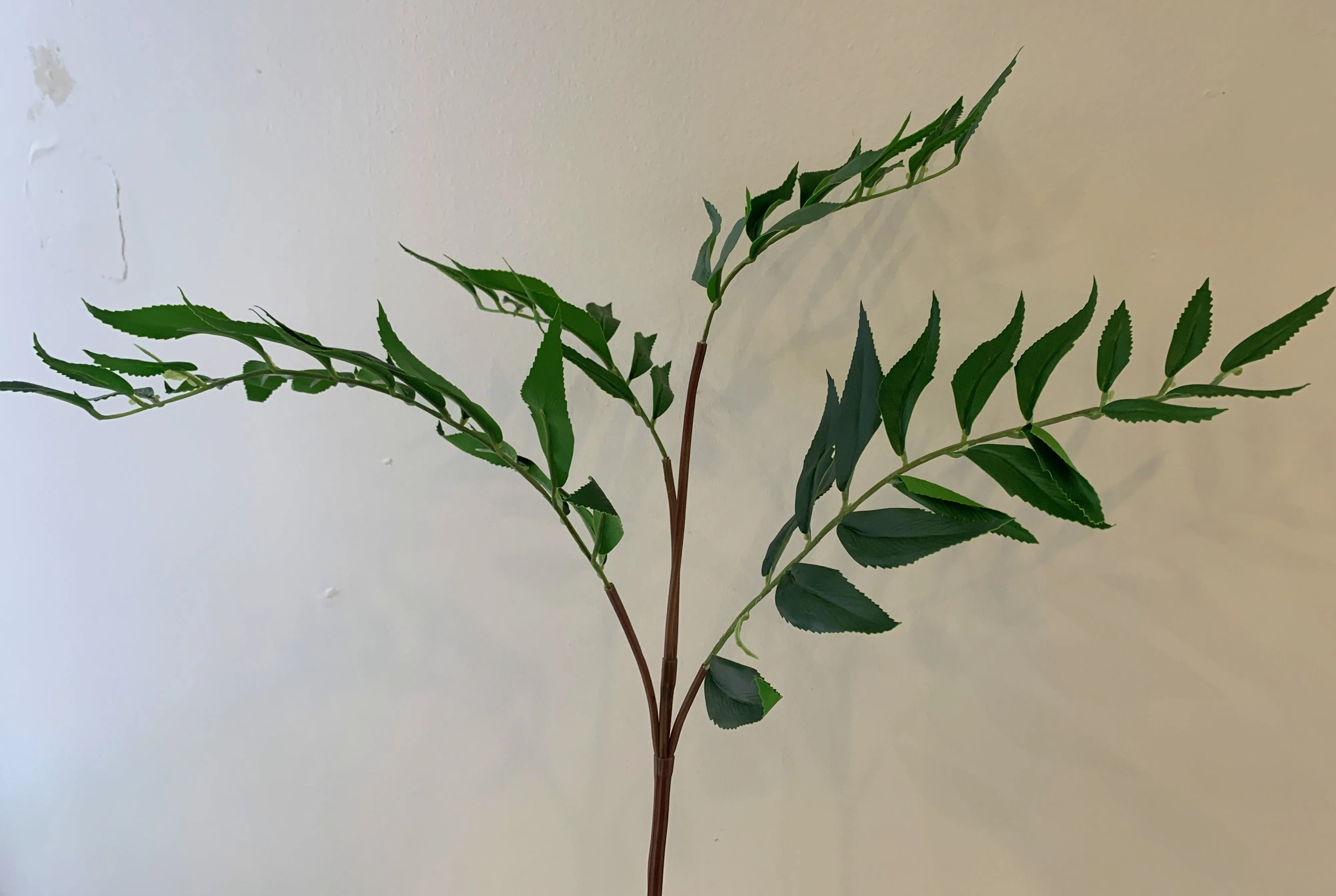LEA0091 Nectarine Foliage 89cm Green