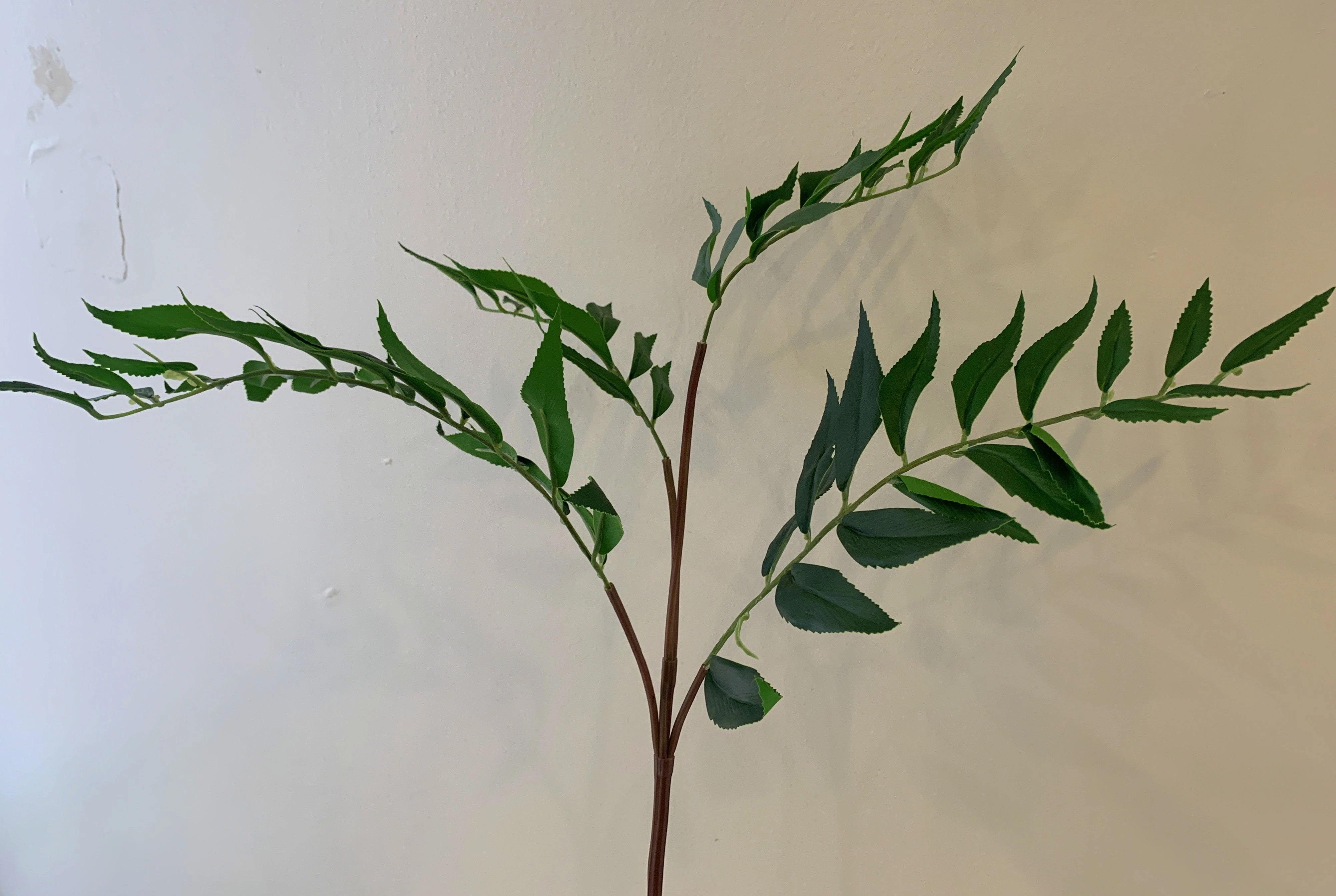 LEA0091 Nectarine Foliage 89cm Green