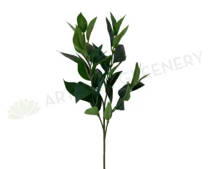 LEA0092 Jasmine Foliage 79cm dried green plant  