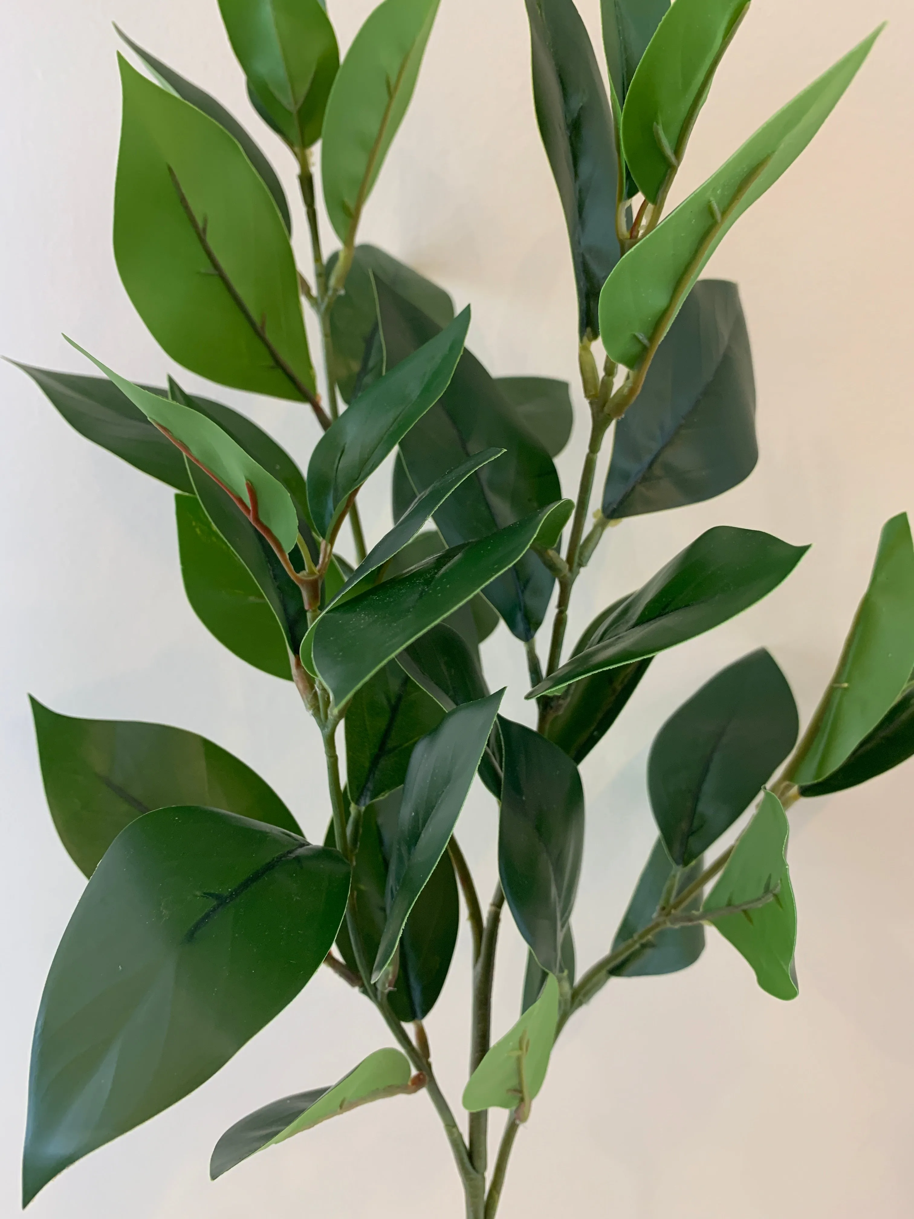 LEA0092 Jasmine Foliage 79cm