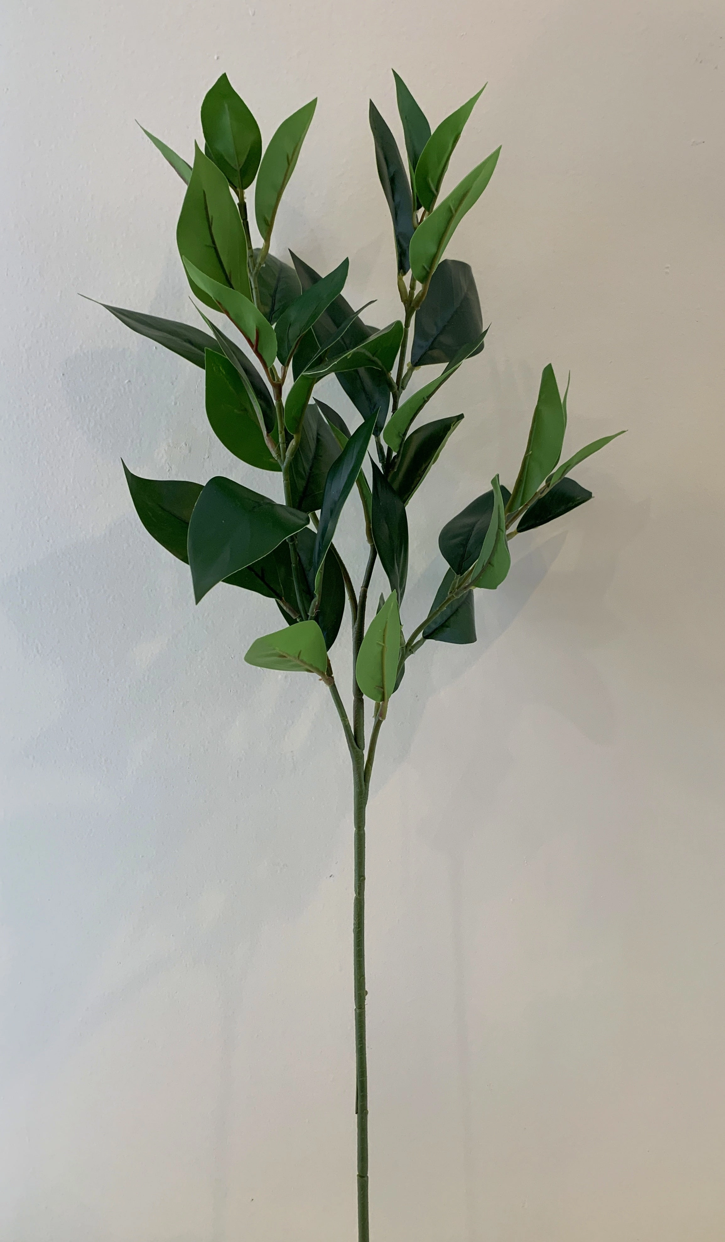 LEA0092 Jasmine Foliage 79cm