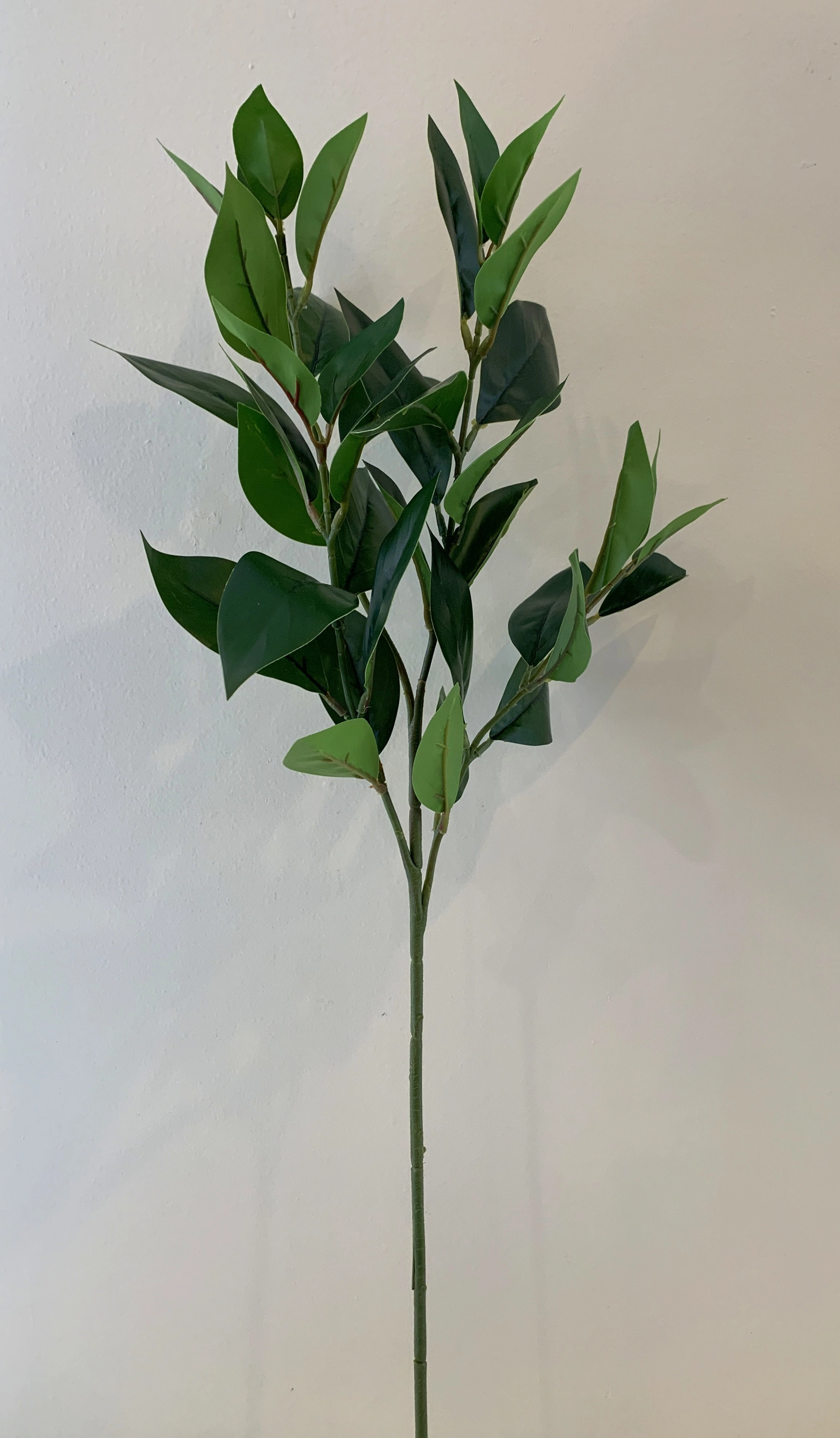 LEA0092 Jasmine Foliage 79cm