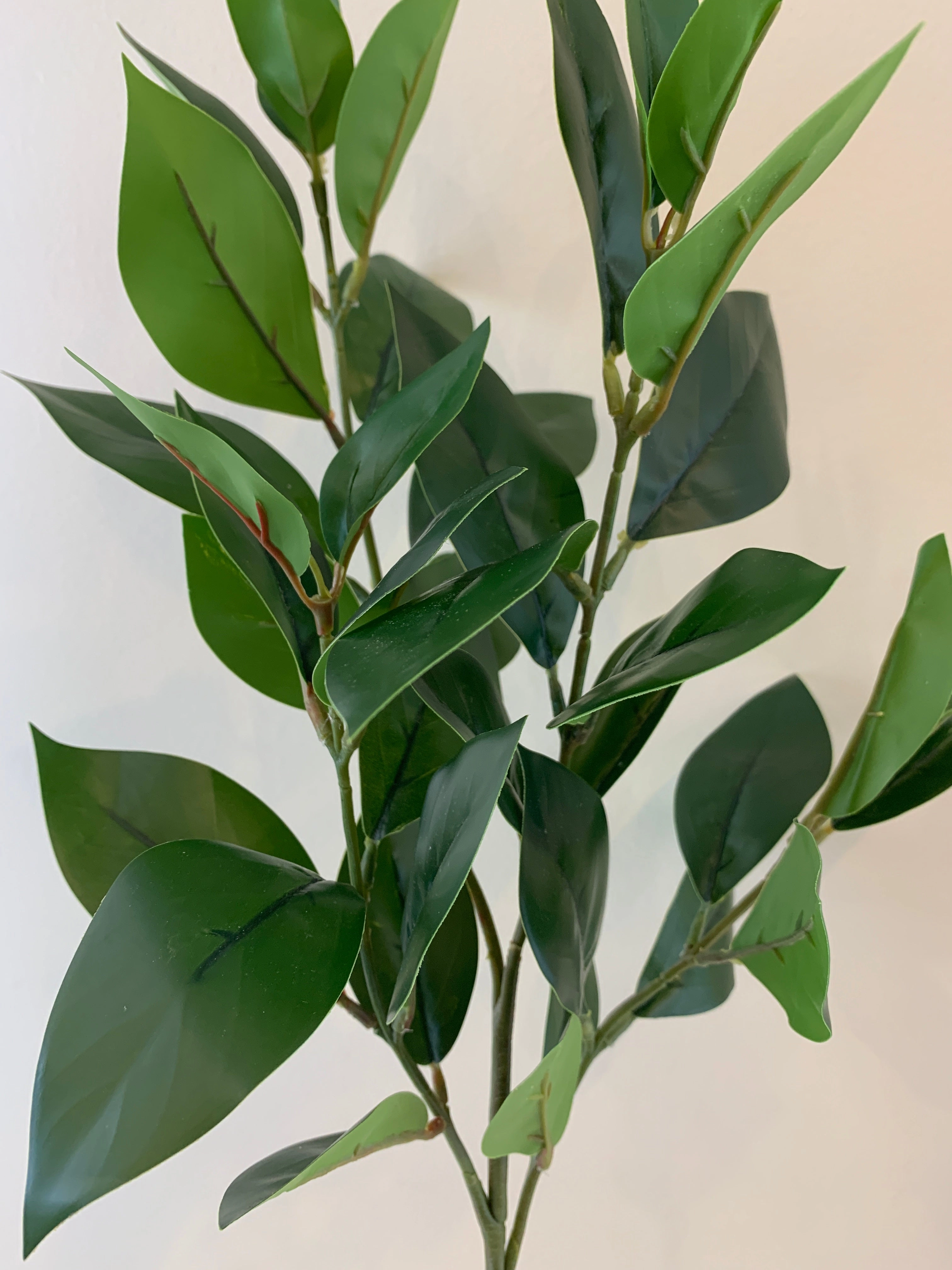 LEA0092 Jasmine Foliage 79cm