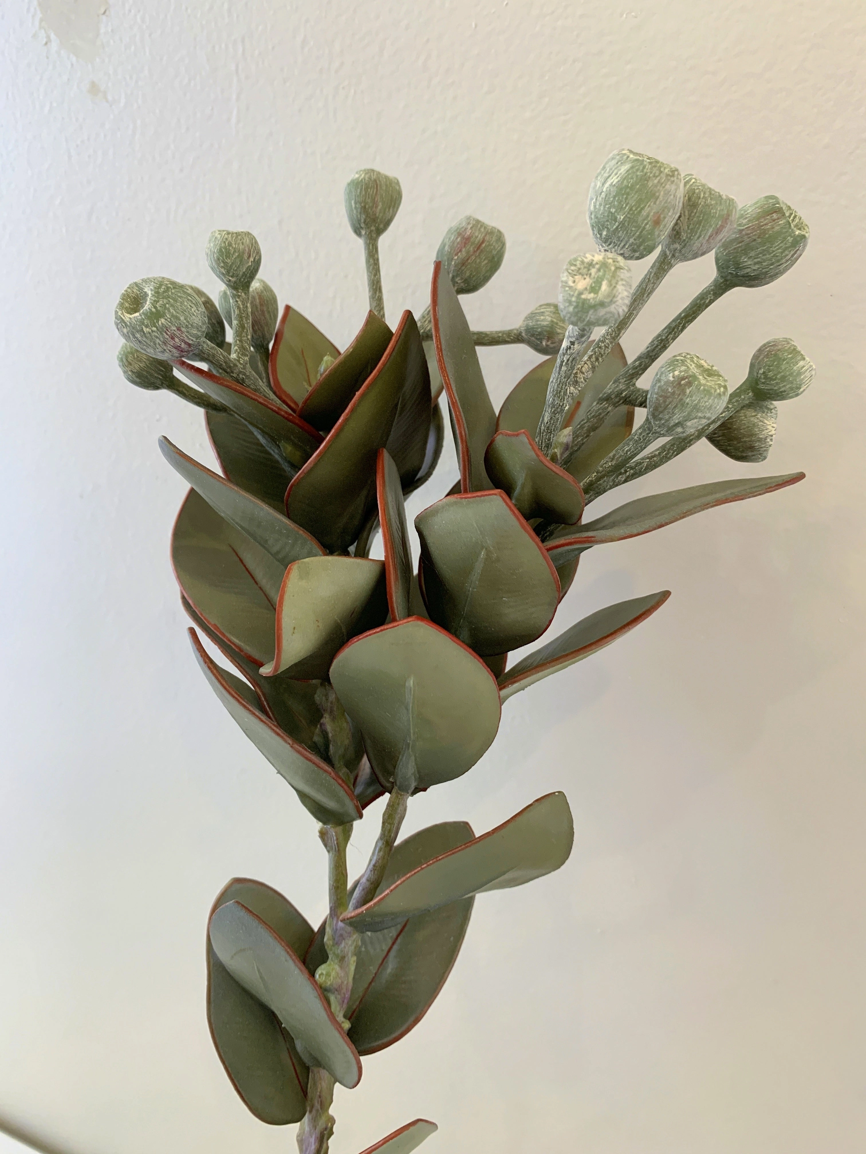 LEA0093 Tetragona Nut Spray 57cm Green