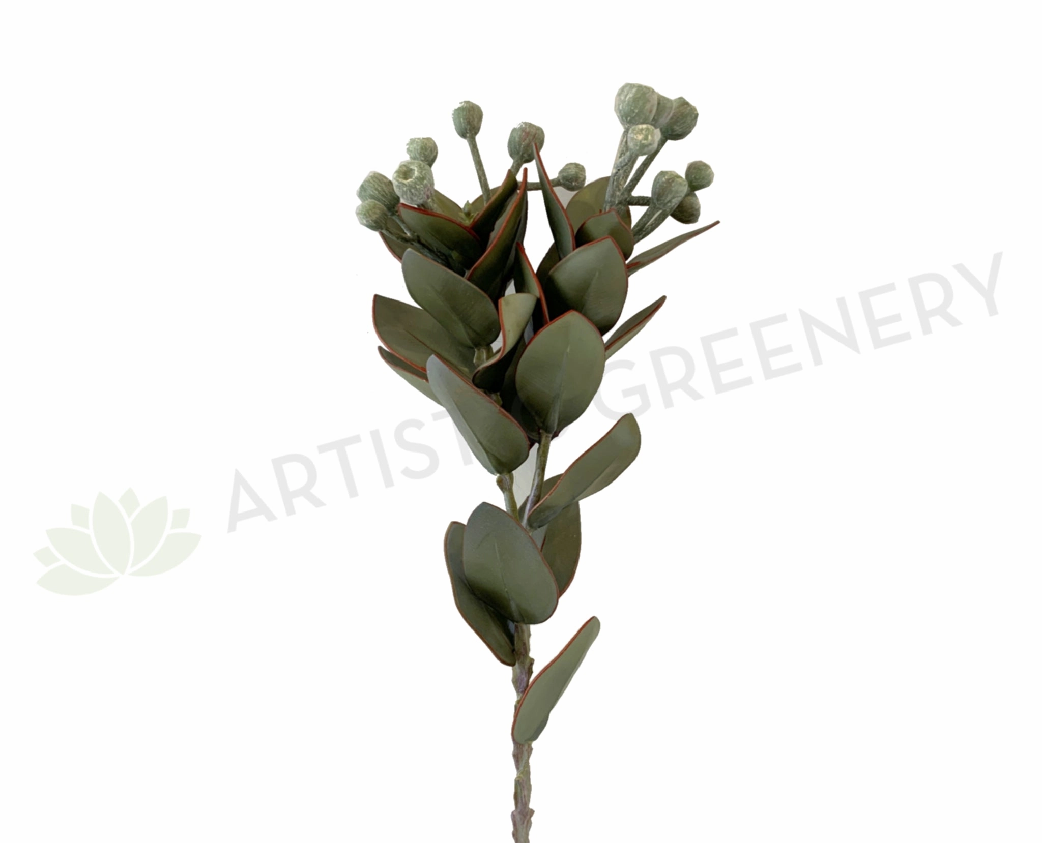 LEA0093 Tetragona Nut Spray 57cm Green mini ornamental plant  