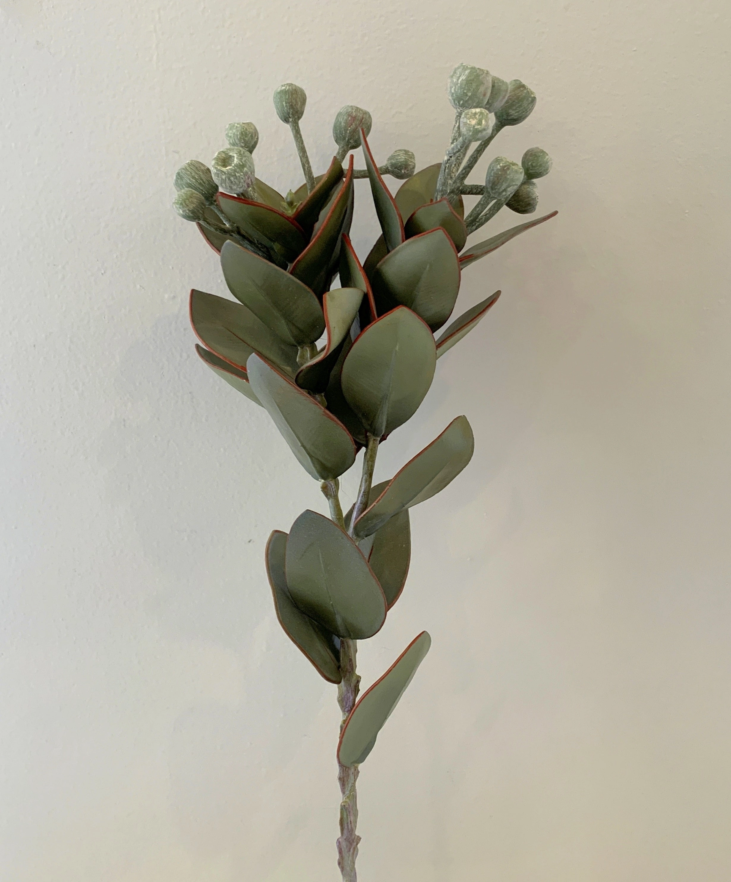 LEA0093 Tetragona Nut Spray 57cm Green