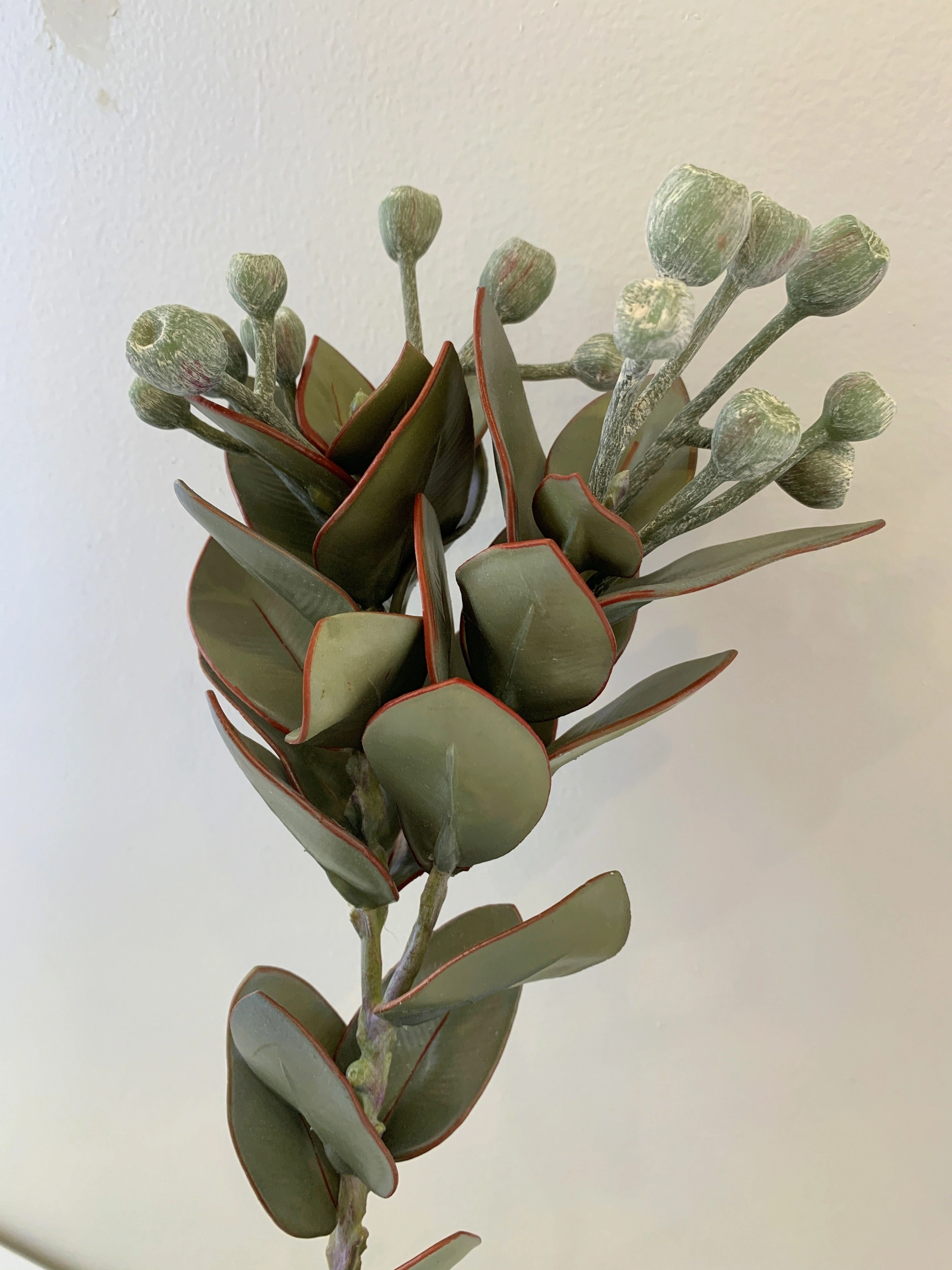 LEA0093 Tetragona Nut Spray 57cm Green