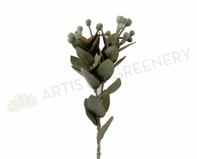LEA0093 Tetragona Nut Spray 57cm Green indoor plant stand  