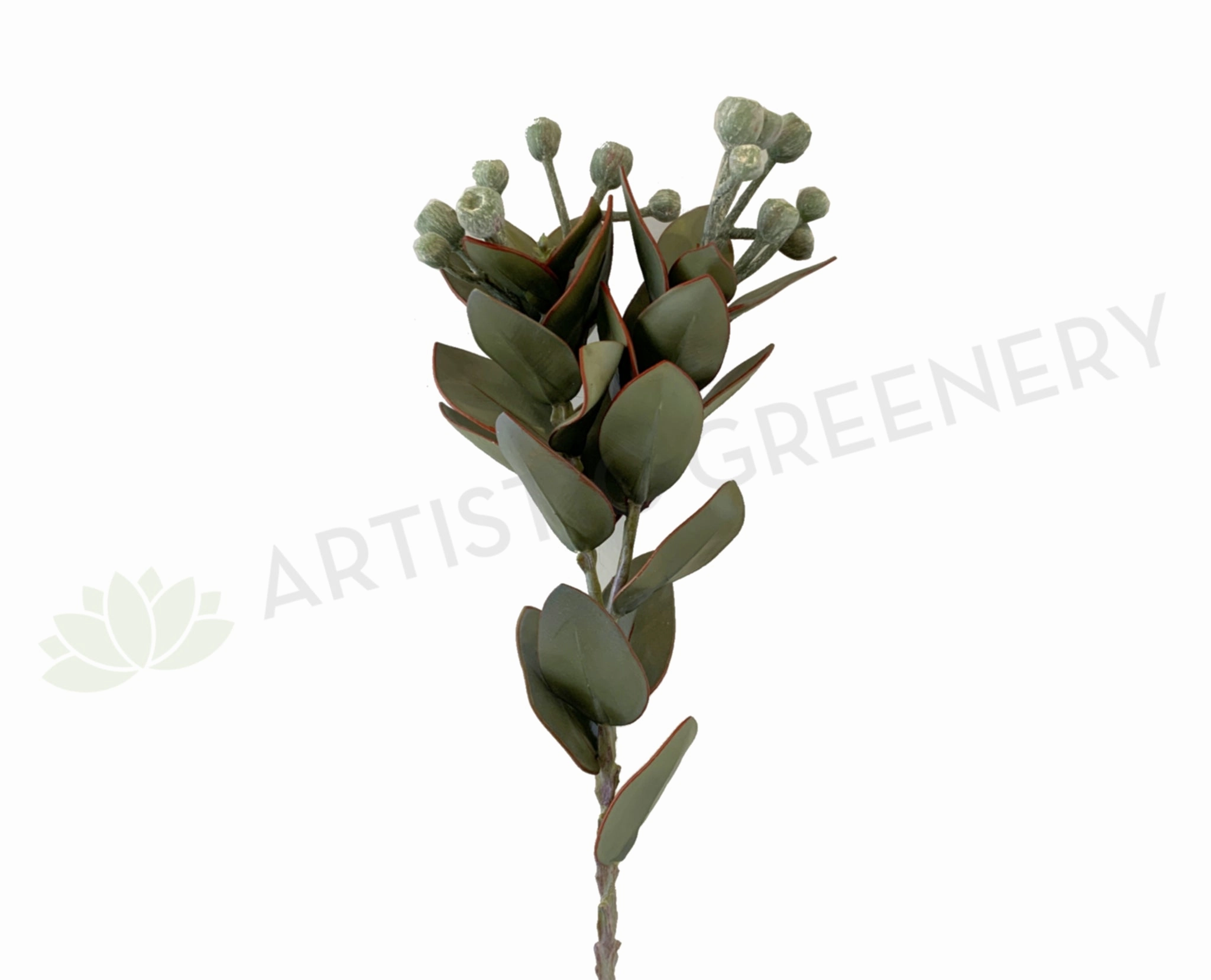 LEA0093 Tetragona Nut Spray 57cm Green xl flower pot  