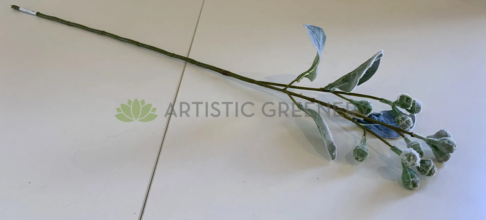 LEA0094 Tetragona Nut Stem 68cm