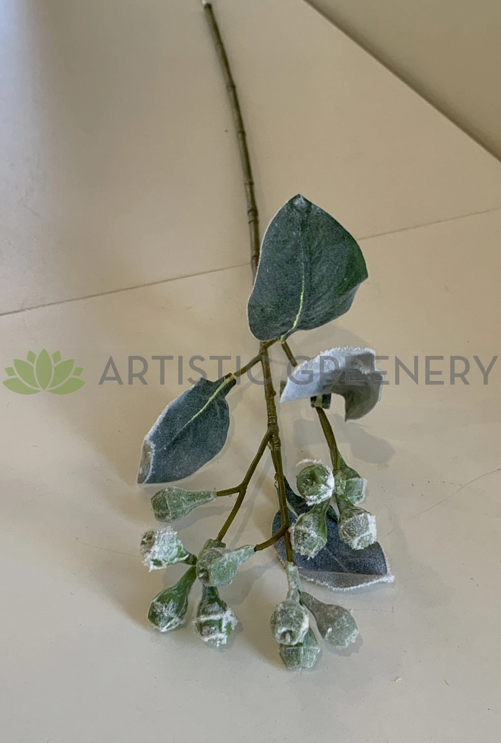 LEA0094 Tetragona Nut Stem 68cm