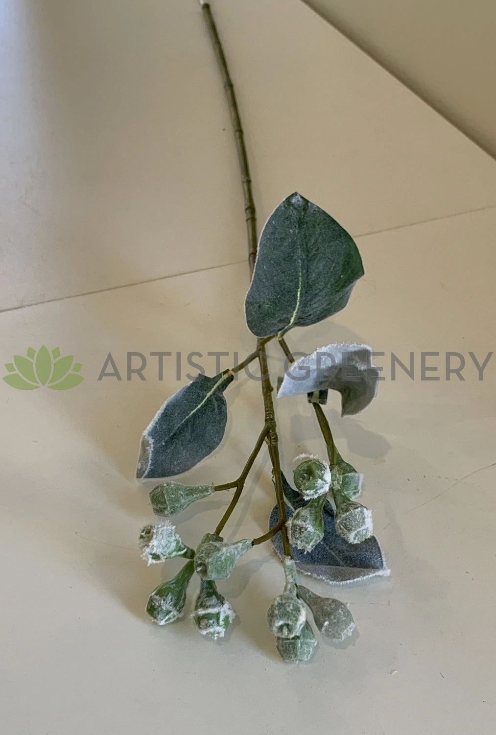 LEA0094 Tetragona Nut Stem 68cm