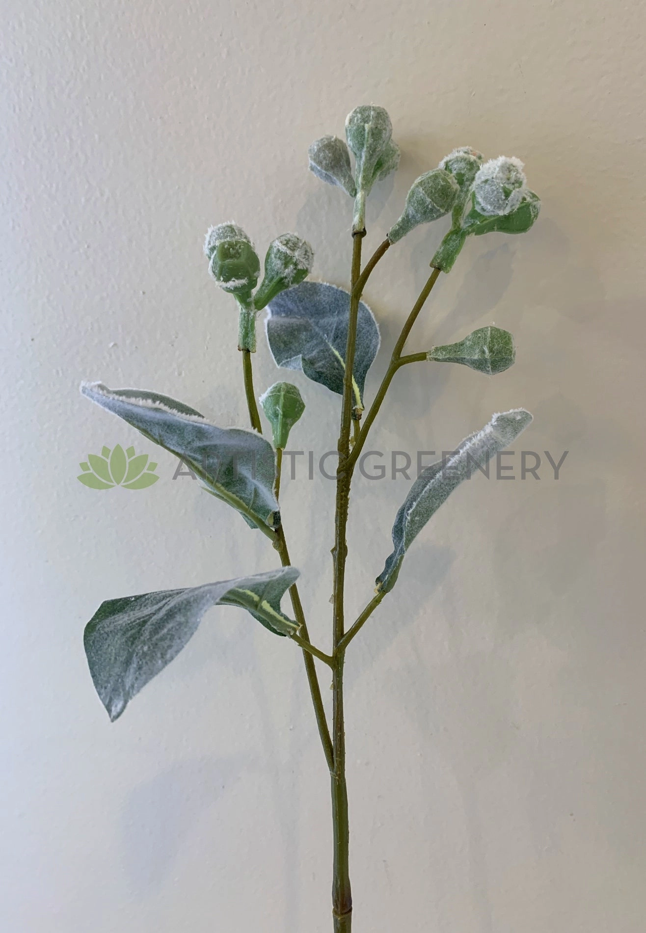 LEA0094 Tetragona Nut Stem 68cm