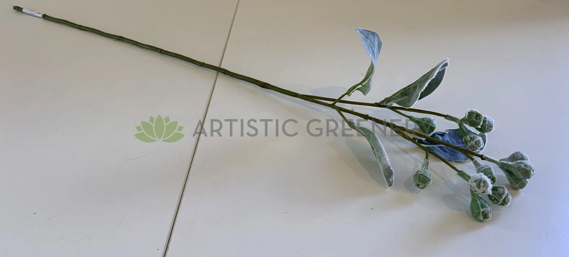 LEA0094 Tetragona Nut Stem 68cm