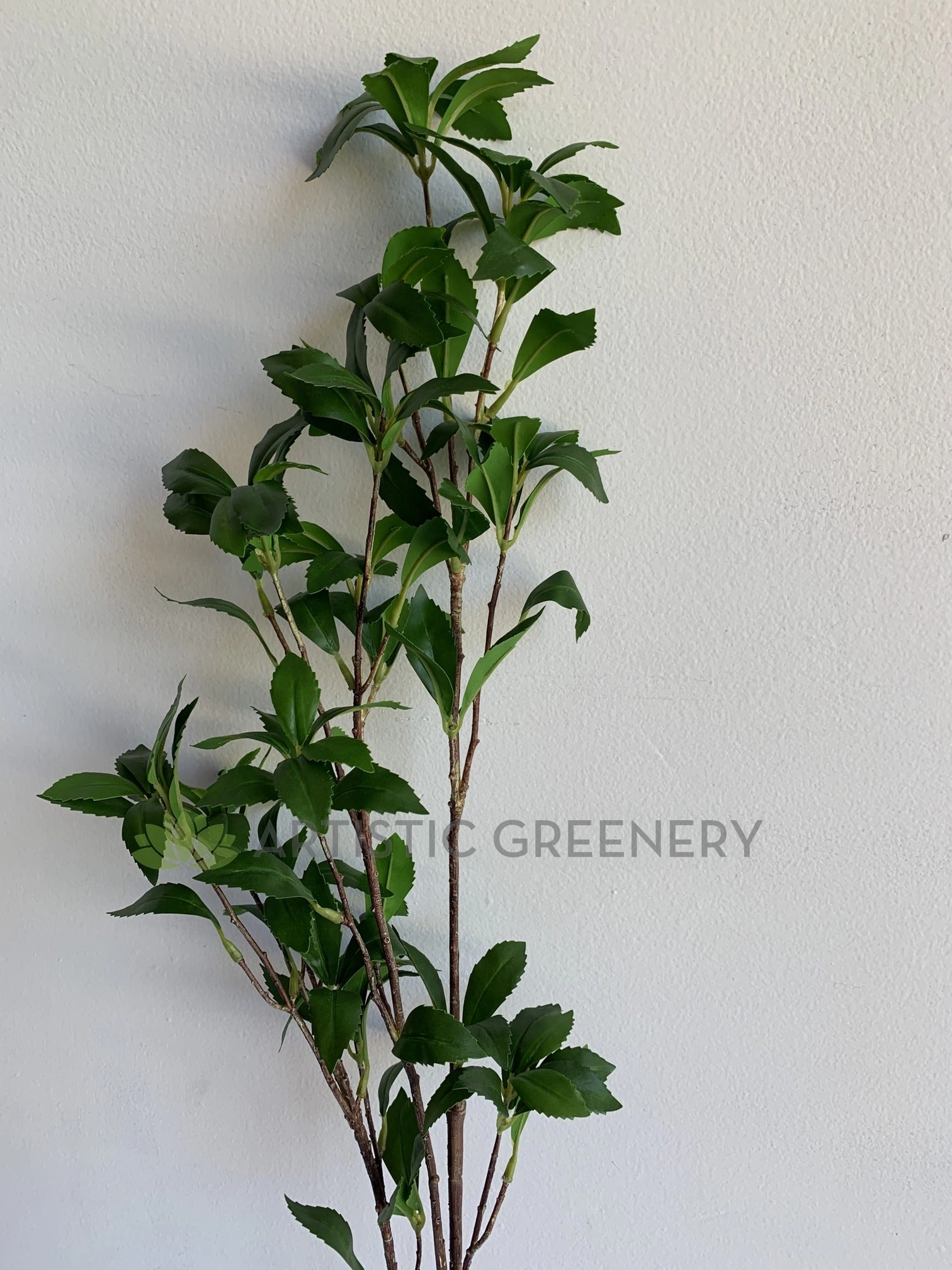 LEA0101 Pieris Foliage 107cm