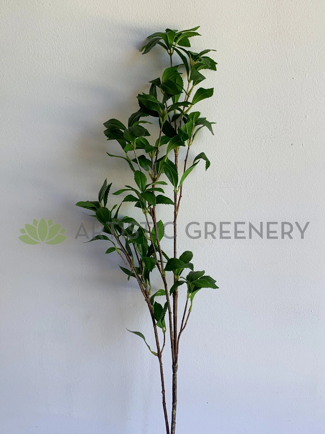 LEA0101 Pieris Foliage 107cm