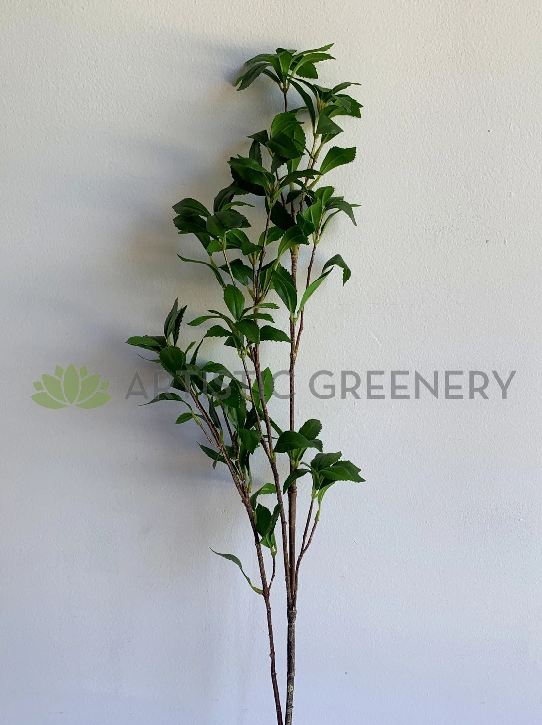 LEA0101 Pieris Foliage 107cm