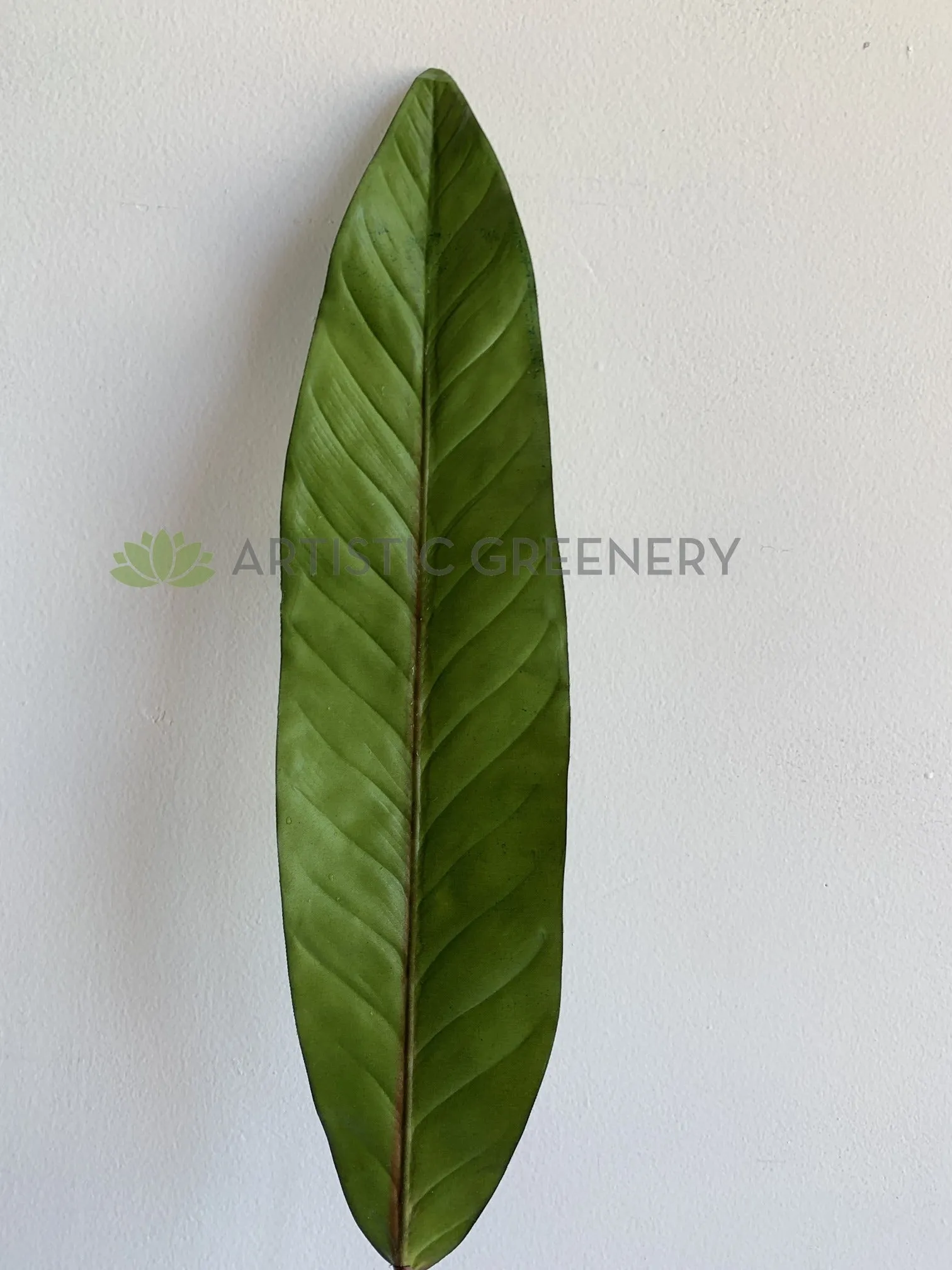 LEA0102 Ti Single Leaf (Real Touch) 89cm