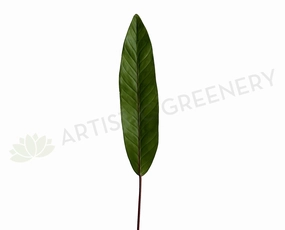 LEA0102 Ti Single Leaf (Real Touch) 89cm xl flower pot  