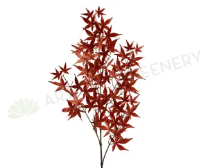 LEA0103 Red Maple Branch (Large)114cm dried green plant  