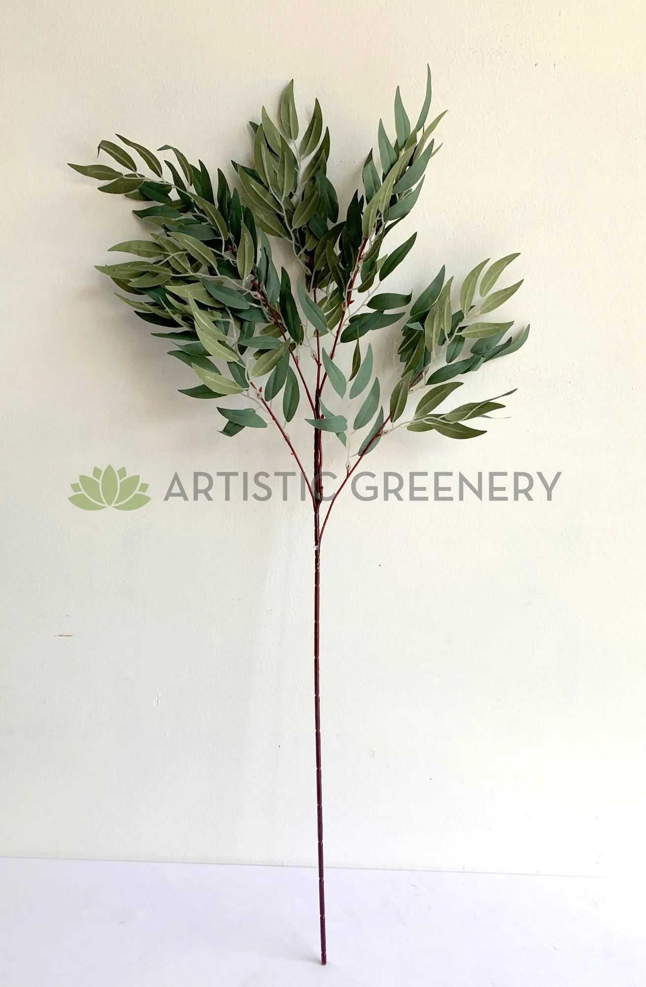 LEA0105 White Willow (Salix alba) Spray 91cm SPECIAL