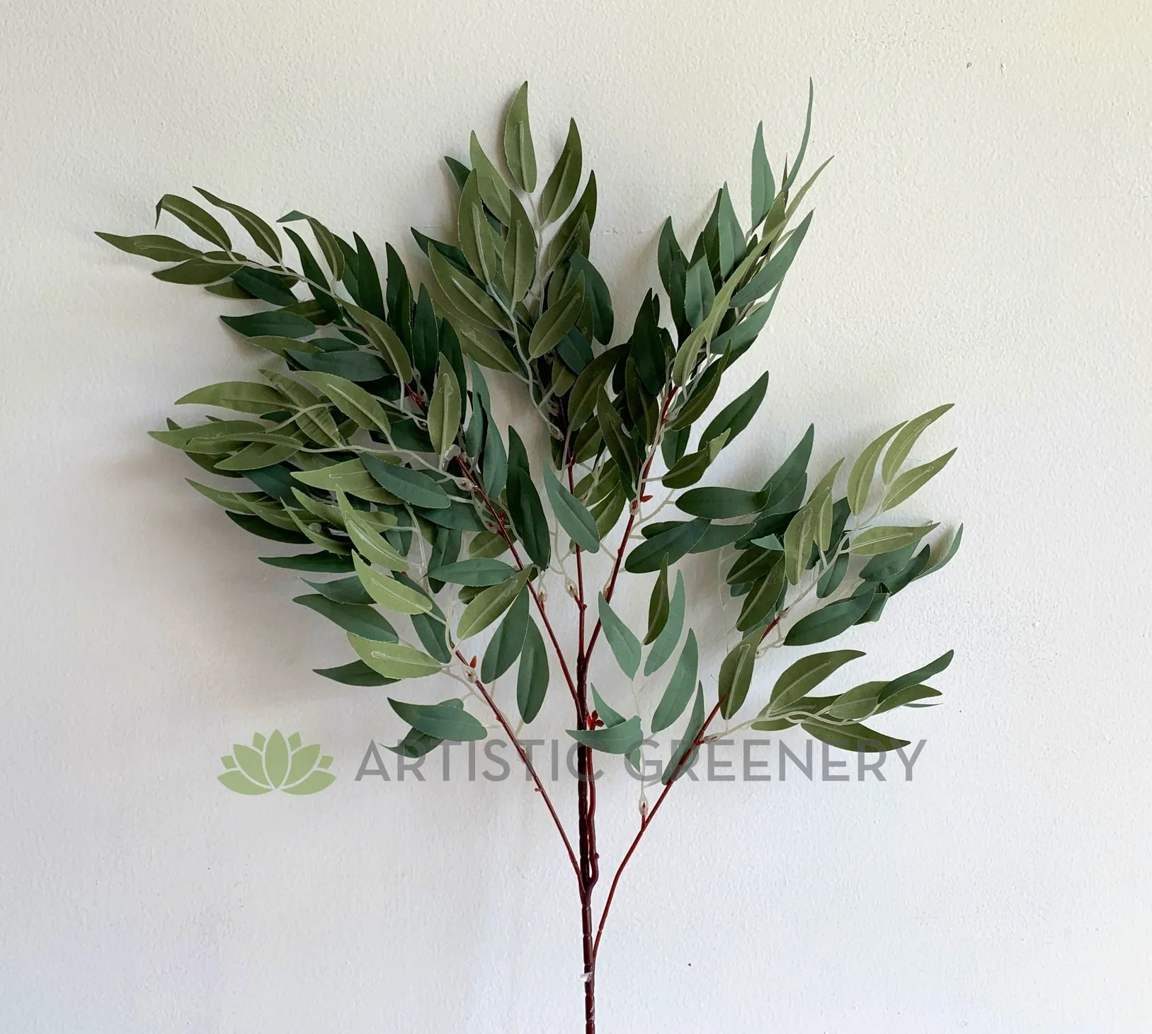 LEA0105 White Willow (Salix alba) Spray 91cm SPECIAL