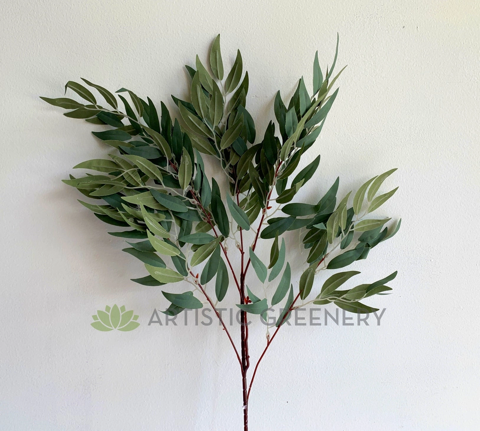LEA0105 White Willow (Salix alba) Spray 91cm SPECIAL
