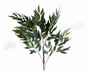 LEA0105 White Willow (Salix alba) Spray 91cm SPECIAL outdoor greenery  