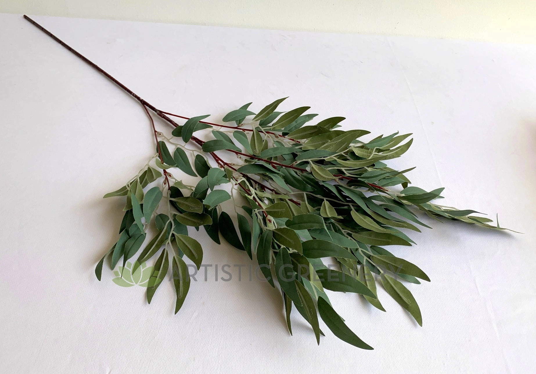 LEA0105 White Willow (Salix alba) Spray 91cm SPECIAL