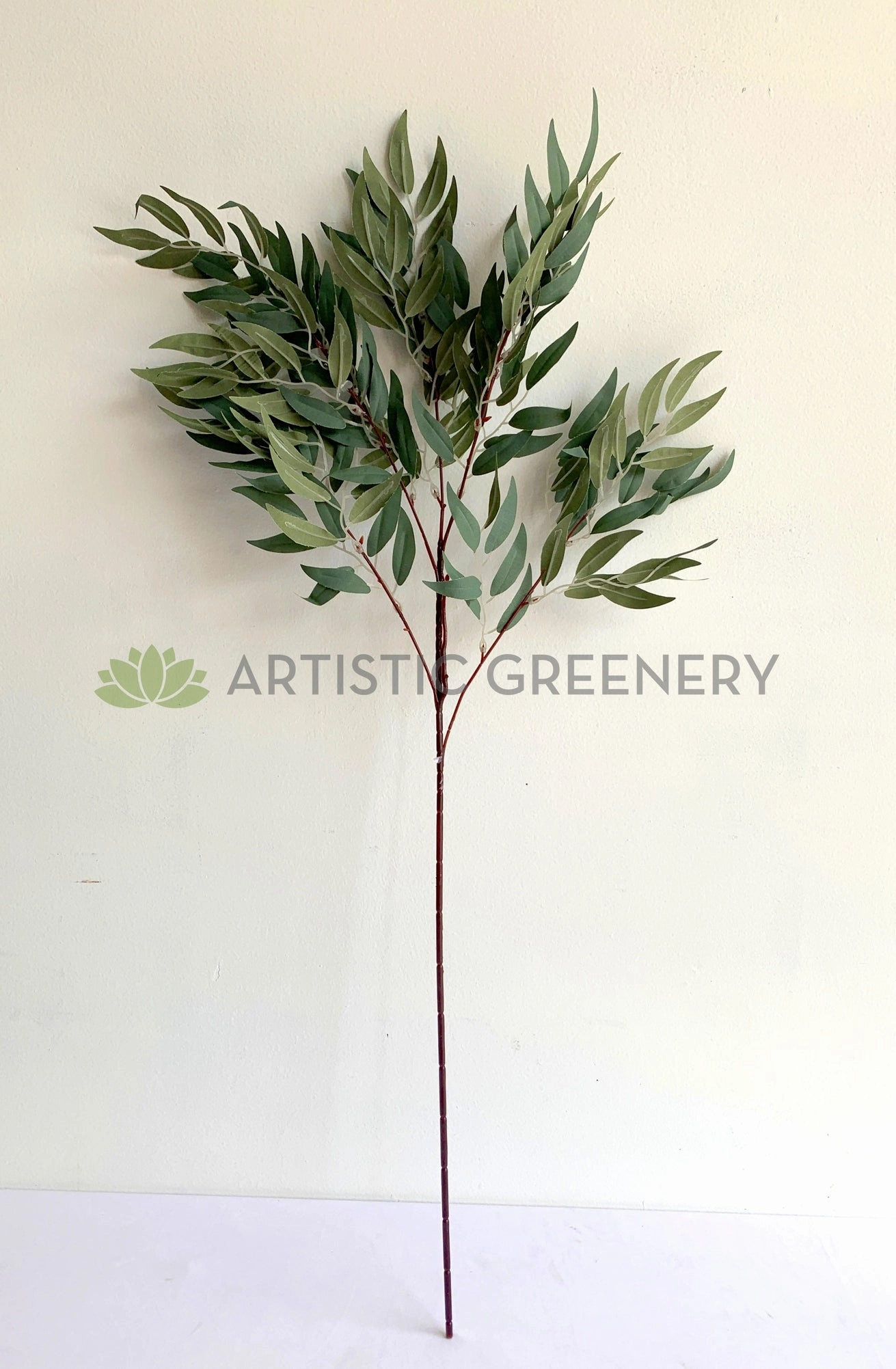 LEA0105 White Willow (Salix alba) Spray 91cm SPECIAL
