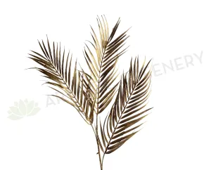 LEA0106 Gold Palm Leaves 93cm dried green plant  