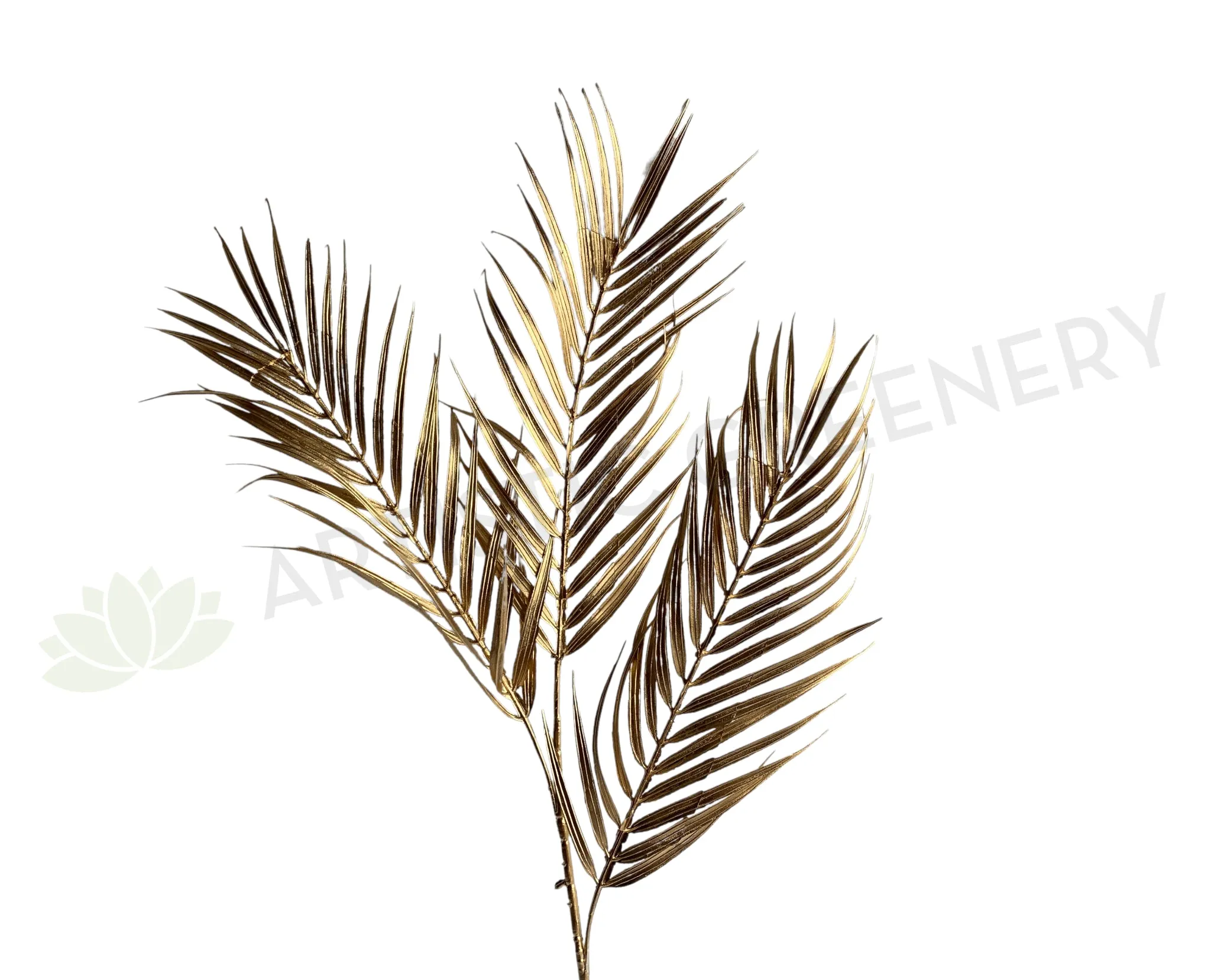 LEA0106 Gold Palm Leaves 93cm dried green plant  