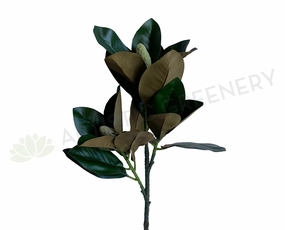 LEA0108 Magnolia Foilage / Branch 75cm xl flower pot  