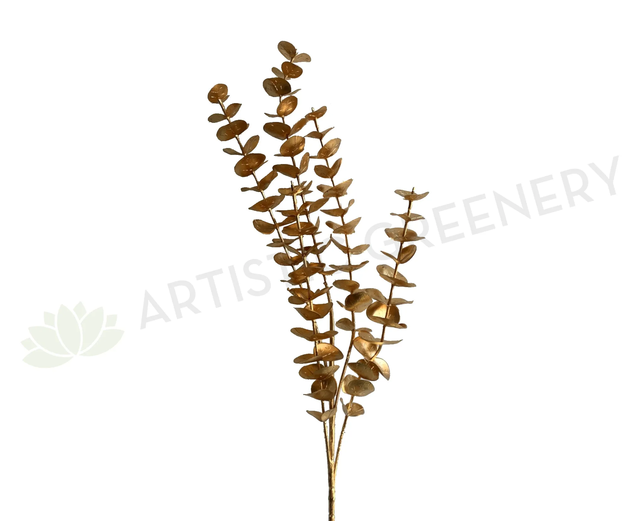 LEA0111 Gold Eucalyptus Spray 83cm dried green plant  