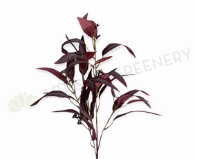 LEA0113PUR Seeded Gum Leaves 88cm Purple xl flower pot  