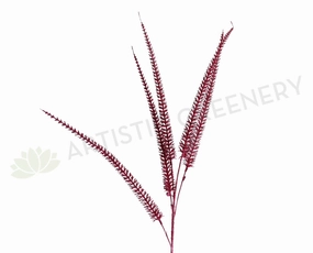 LEA0115 Foxtail / Amaranthus 90cm RED xl flower pot  