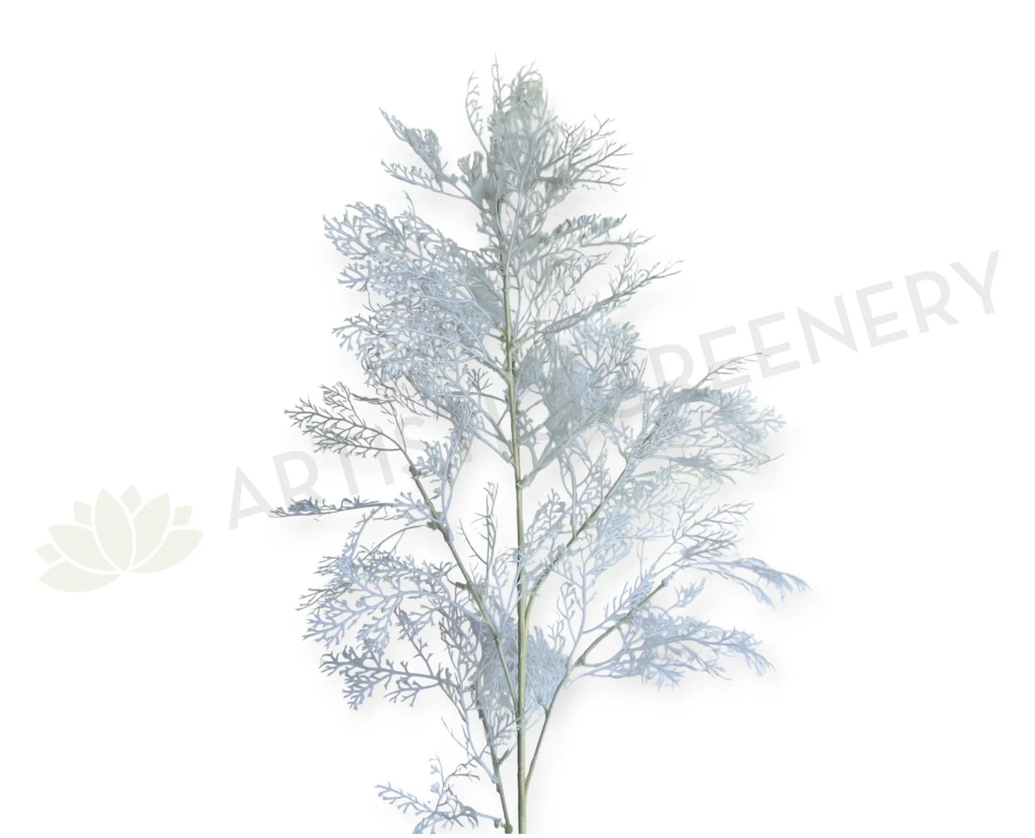 LEA0116WHI White Cedar Spray 102cm dried green plant  