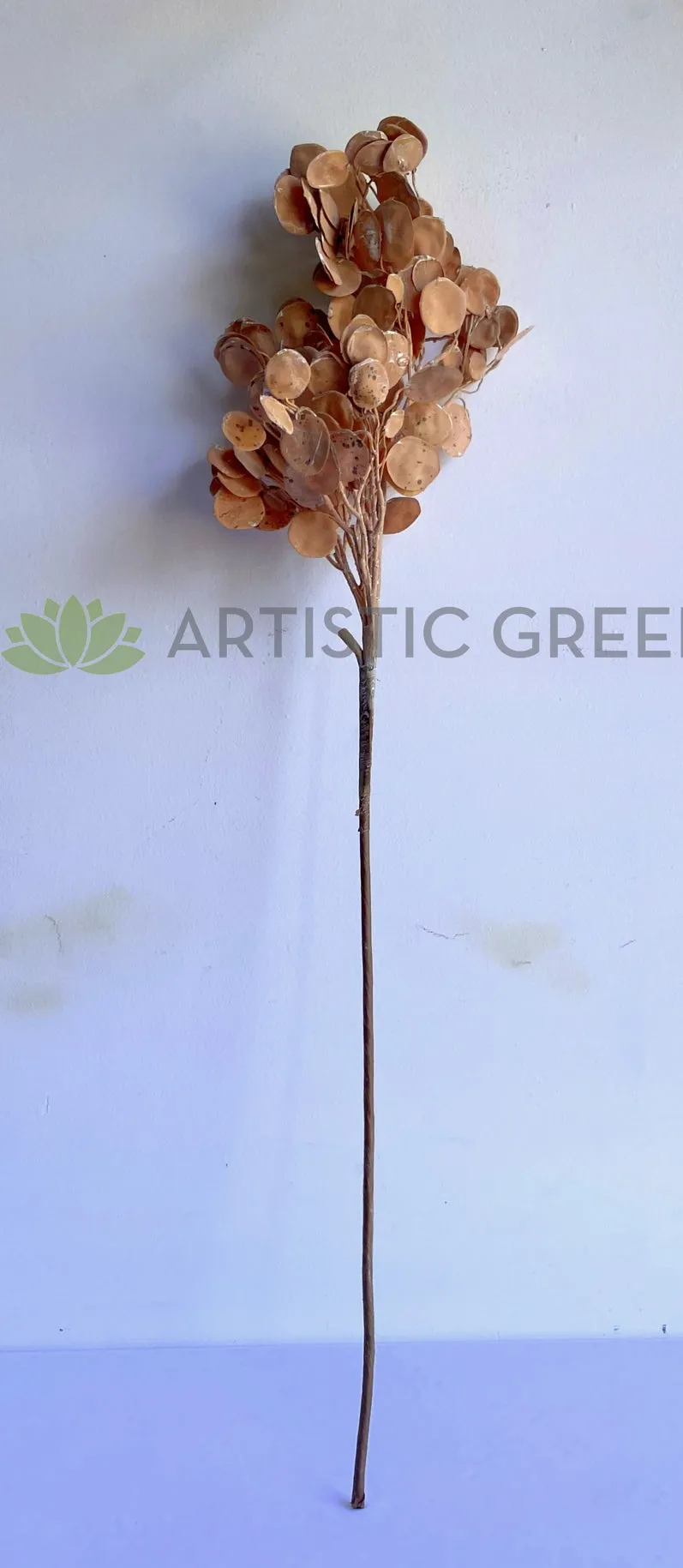 LEA0119 "Dried Look" Silver Dollar Eucalyptus Spray 95cm (Brown)