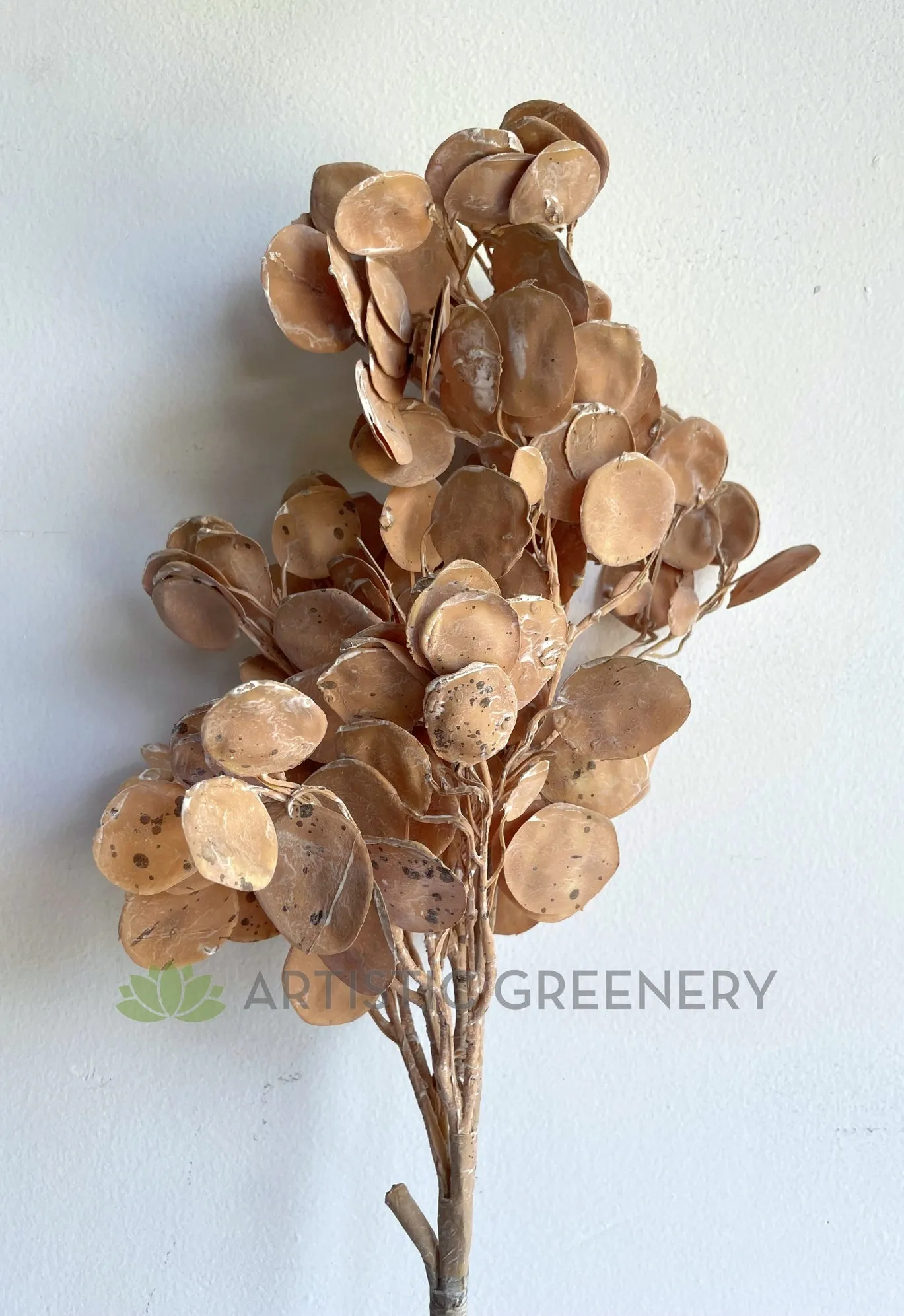 LEA0119 "Dried Look" Silver Dollar Eucalyptus Spray 95cm (Brown)