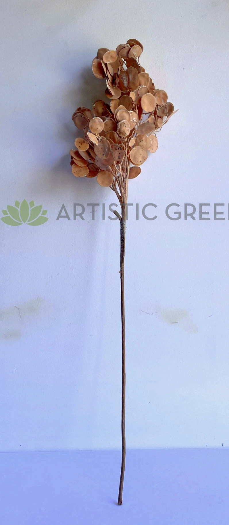 LEA0119 "Dried Look" Silver Dollar Eucalyptus Spray 95cm (Brown)